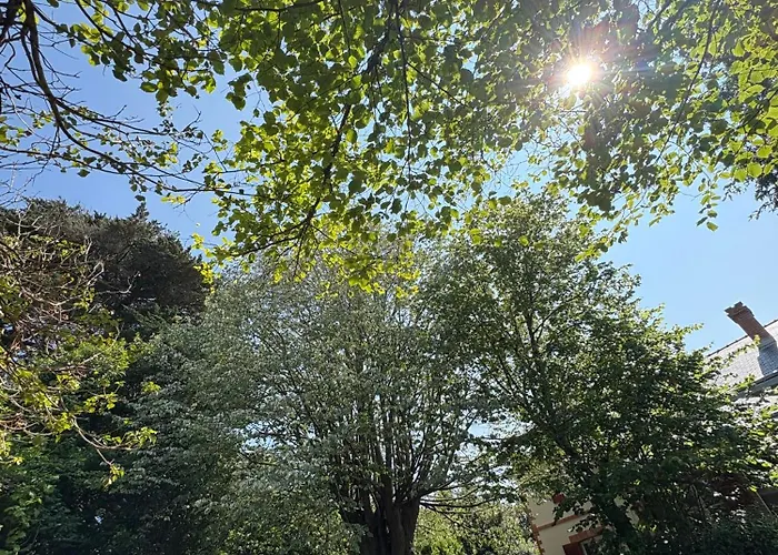 Villa Le Zephyr - Charme, Confort Et Tranquillite A 200m De L'ocean *